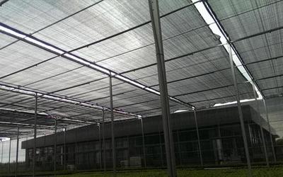 遮陽網工程