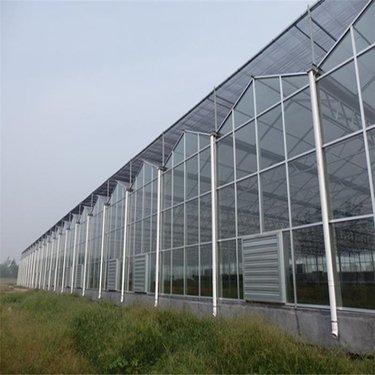 熱帶水果種植基地溫室大棚項目