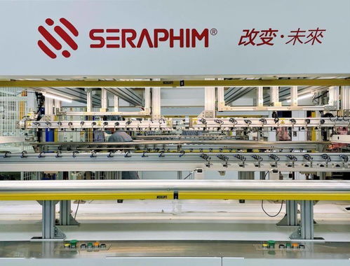 賽拉弗10gw光伏組件生產基地簽約及開工儀式在安徽金寨舉行